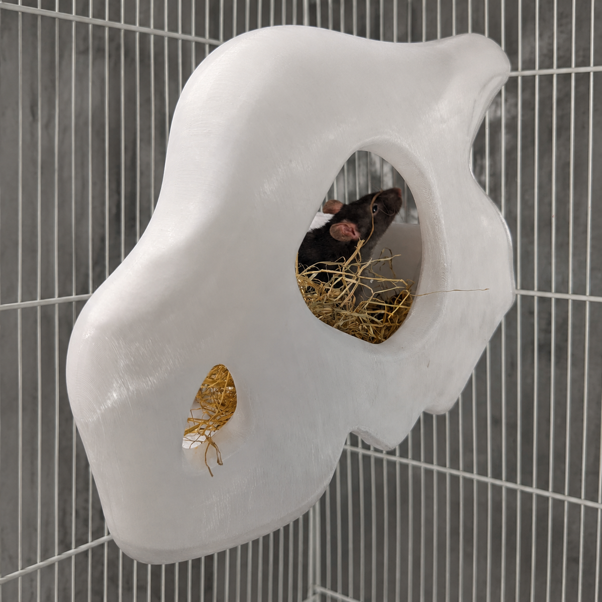 Gothic Skull Rat Hide & Hanging Nest: rat resting inside the lower opening