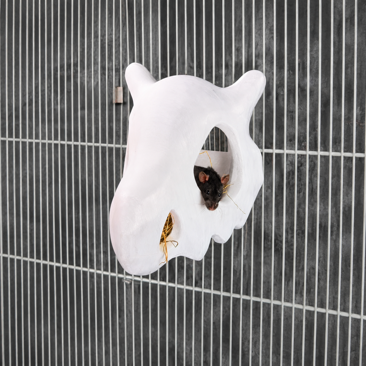 Gothic Skull Rat Hide & Hanging Nest