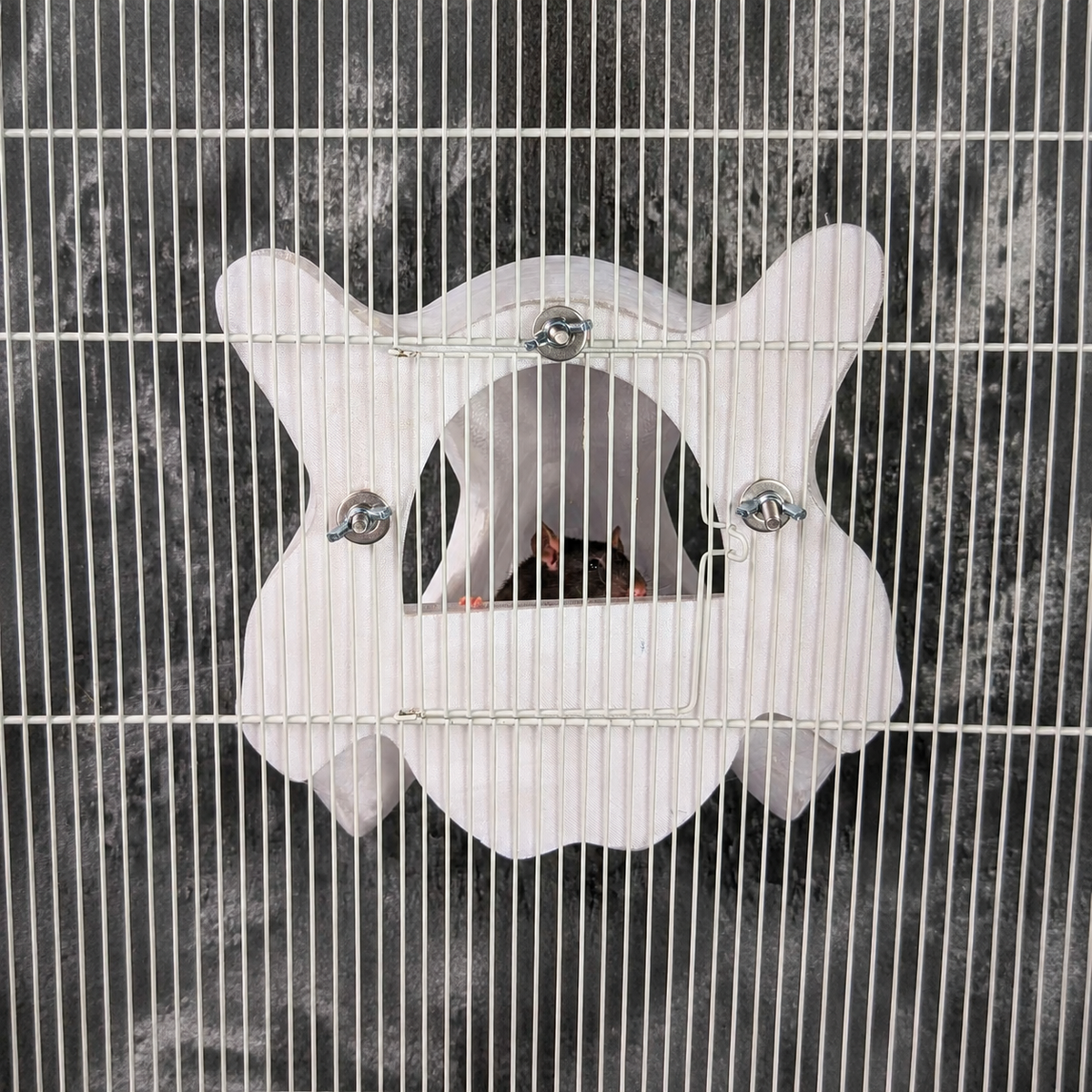 Gothic Skull Rat Hide & Hanging Nest: skull hideout attached to cage bars