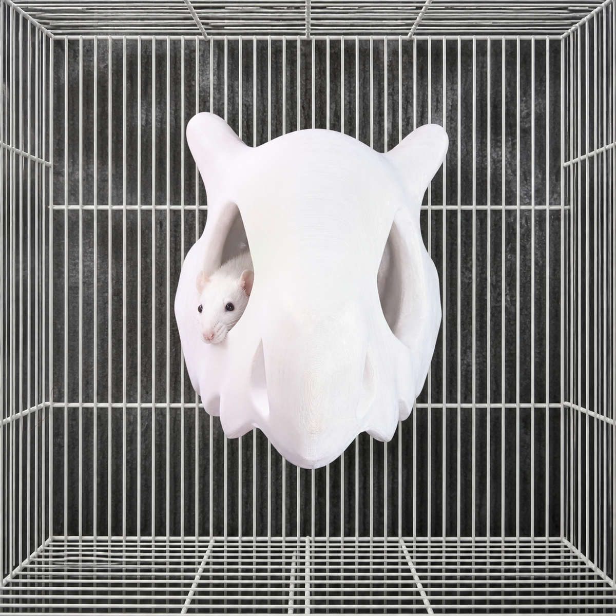 Gothic Skull Rat Hide & Hanging Nest: front view of the skull hideout