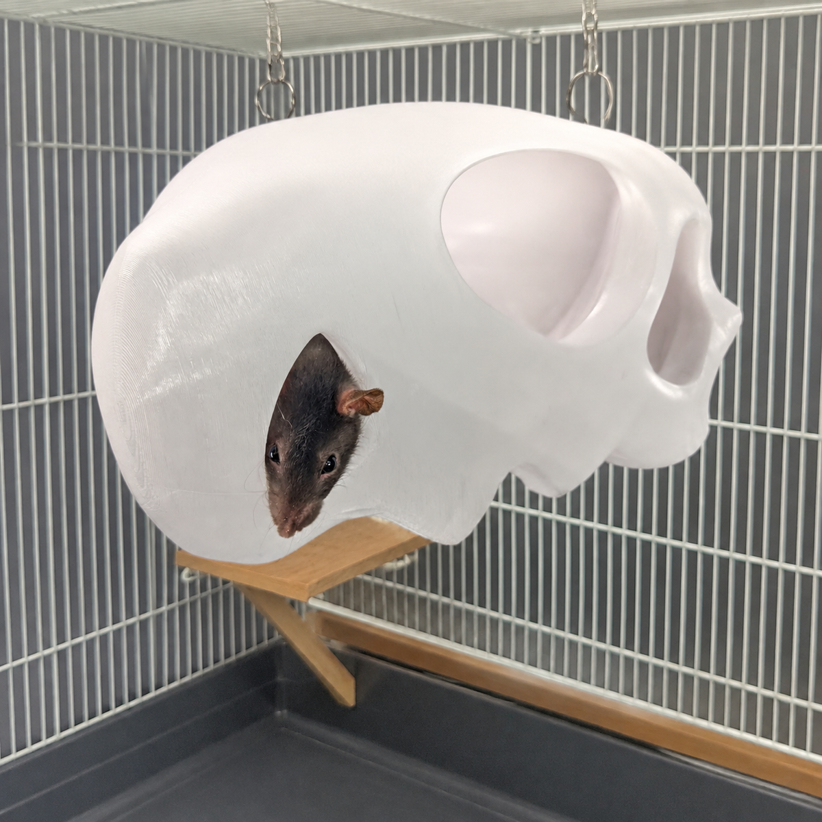 Gothic Skull Rat Hideout & Hanging Nest displayed alongside complementary pieces