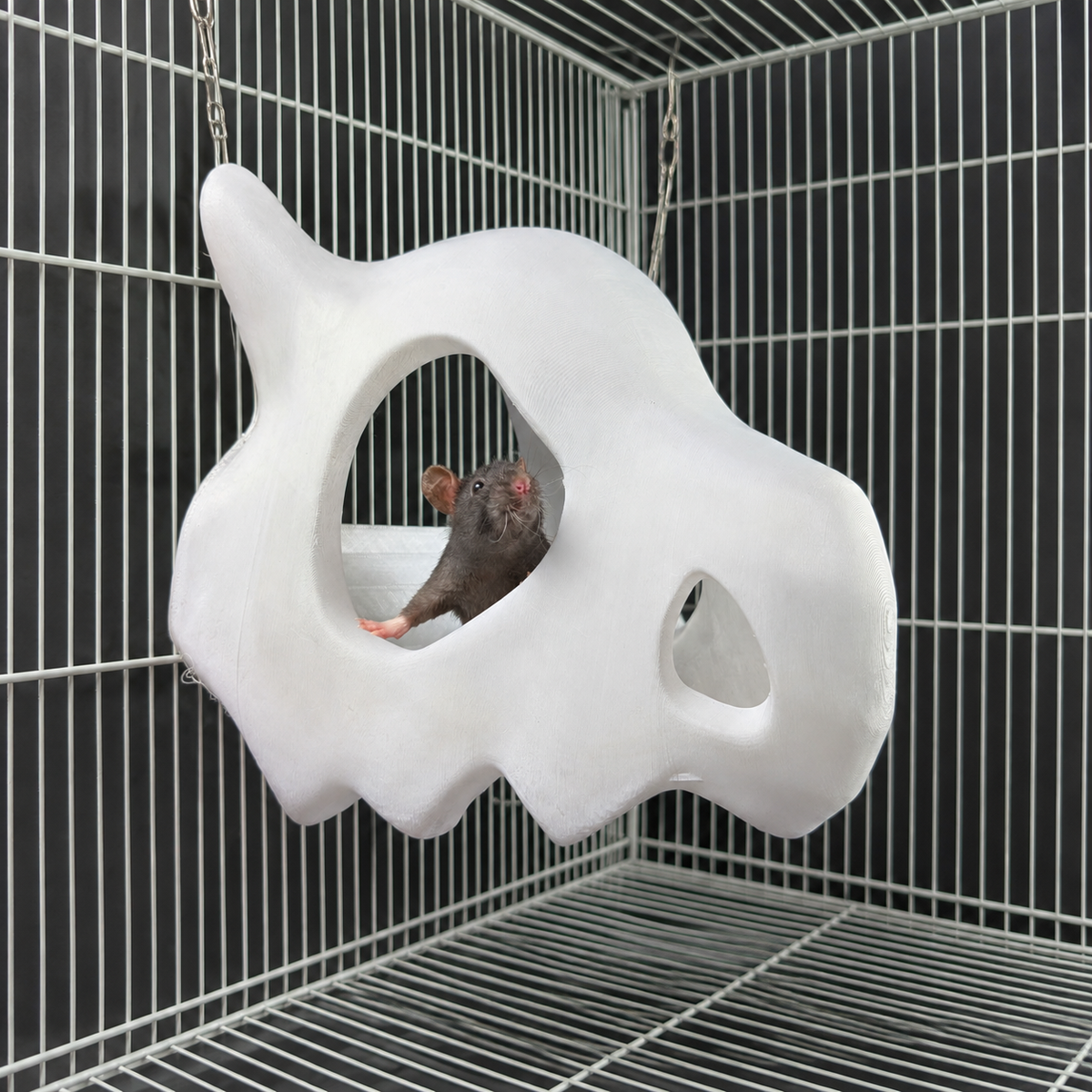 Gothic Skull Rat Hide & Hanging Nest: rat looking through the skull opening