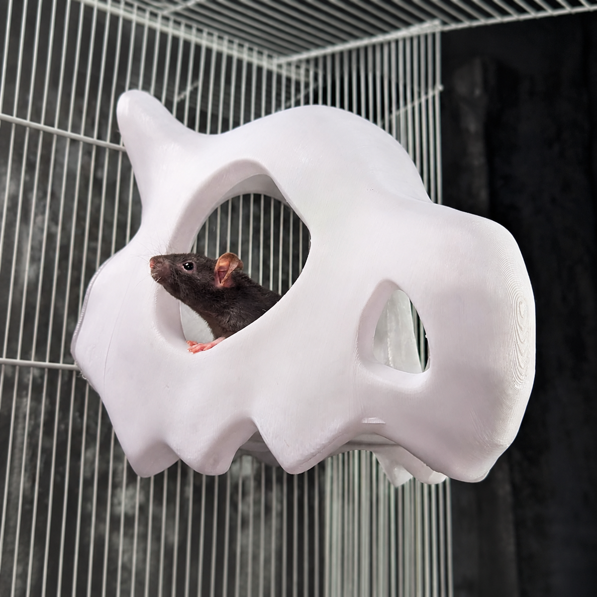 Gothic Skull Rat Hide & Hanging Nest