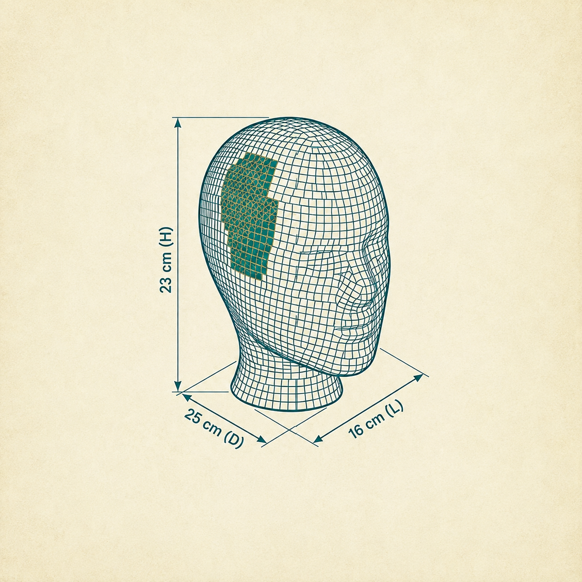 Disco Ball Mannequin Head dimensions diagram showing 23 cm by 25 cm by 16 cm