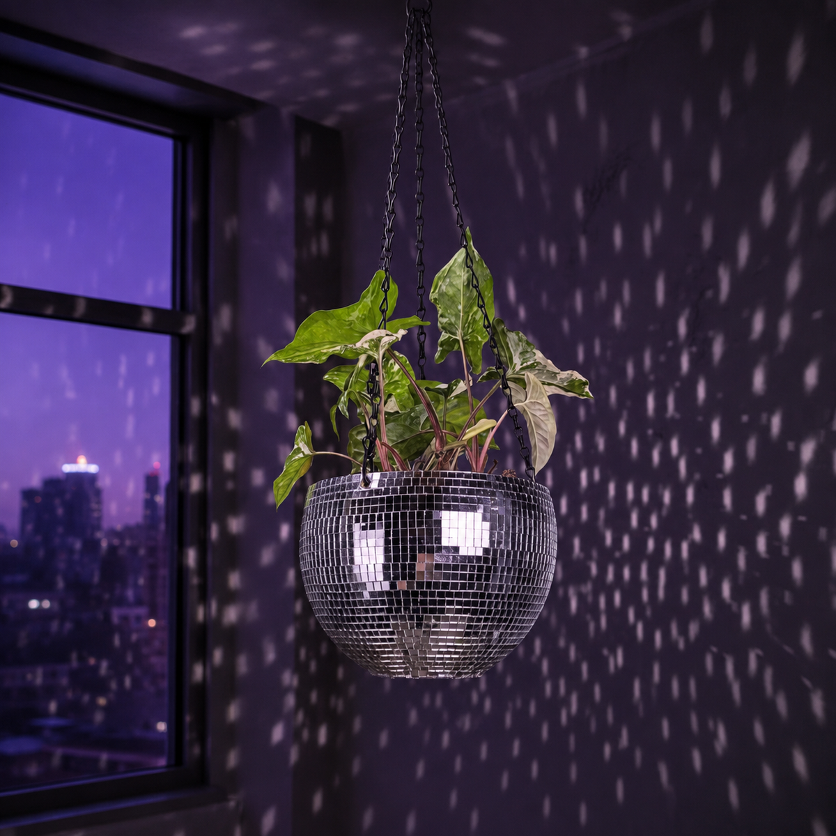 The Glitter Ball - Hanging by Window Lifestyle