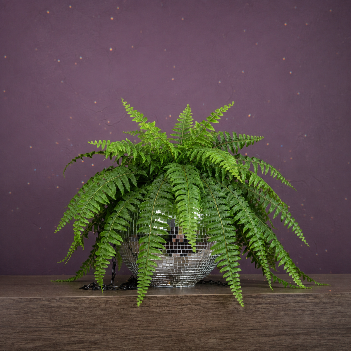 The Glitter Ball - Planted with Boston Fern