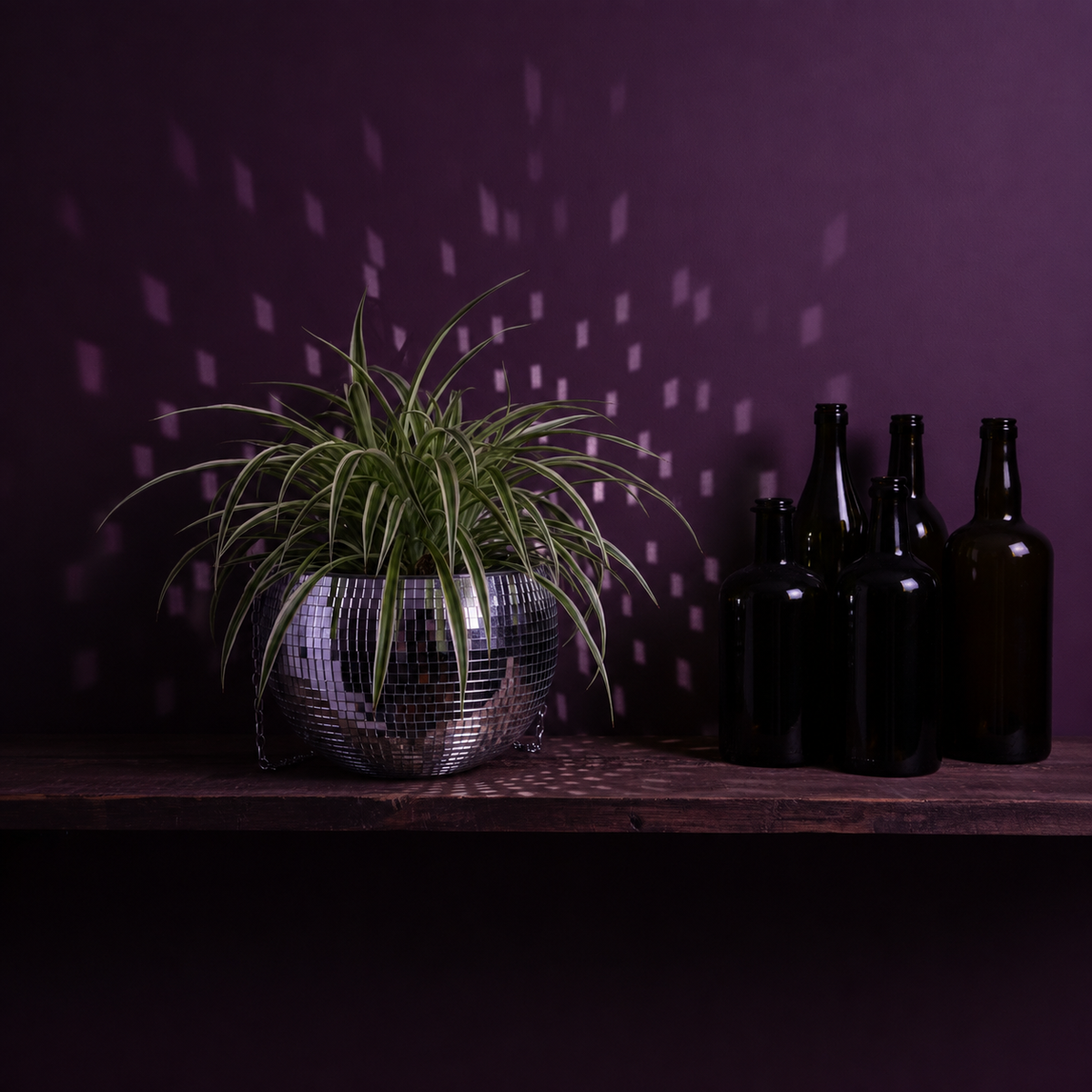 The Glitter Ball - Shelf Display Lifestyle