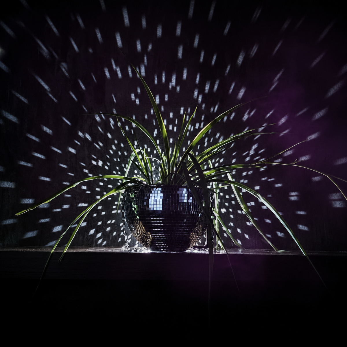 The Glitter Ball - Light Scatter Detail