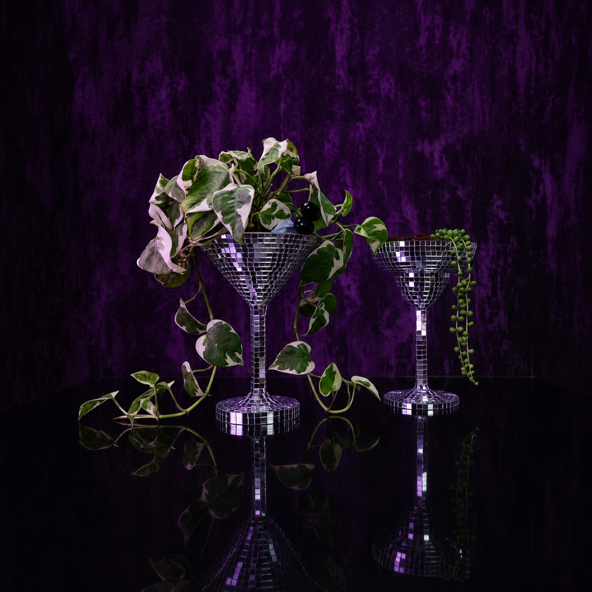 Happy Hour disco ball planters with trailing pothos plants
