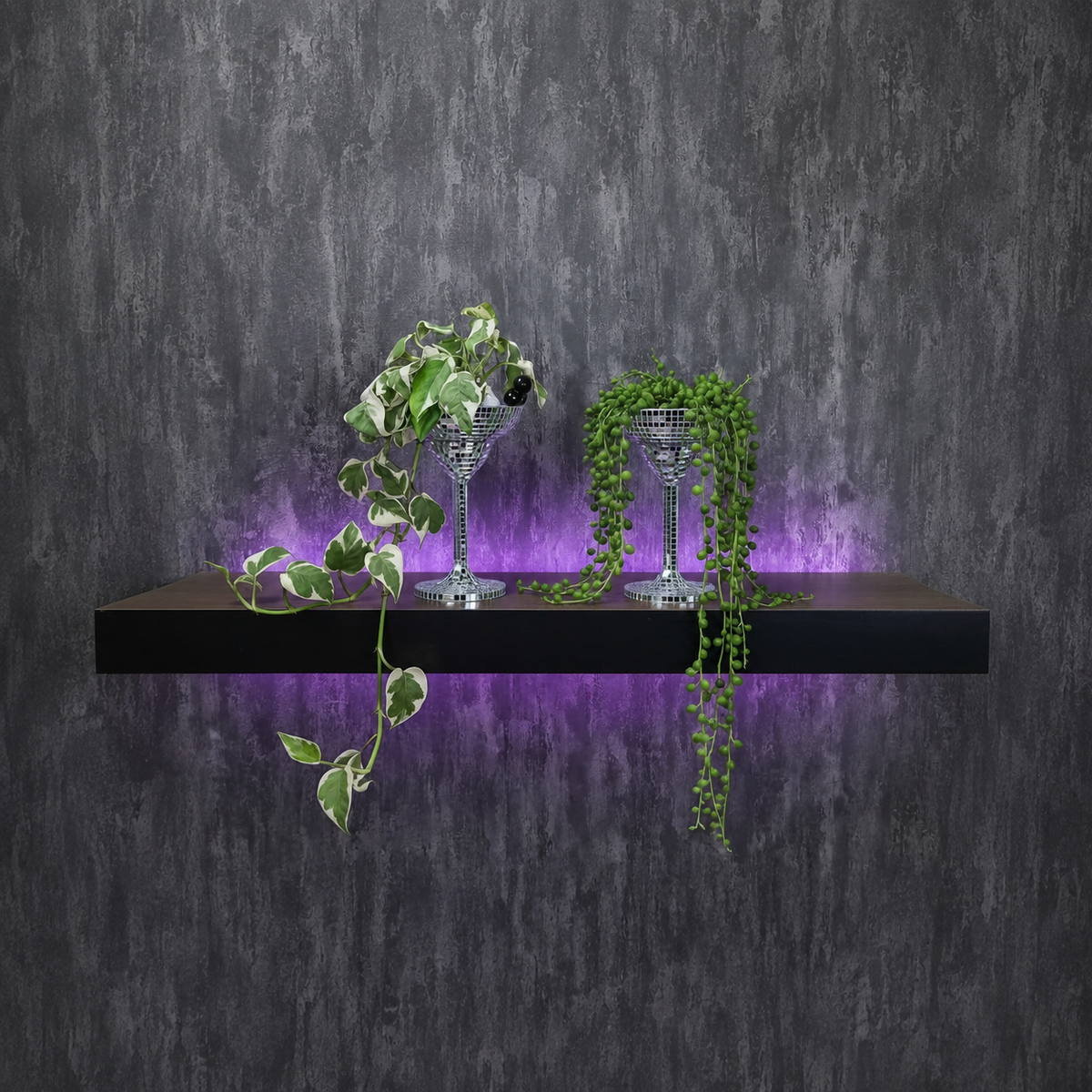 Happy Hour mirror mosaic planters styled on shelf with plants