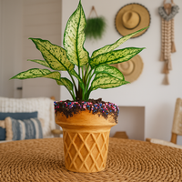 Sweet Treat Planter