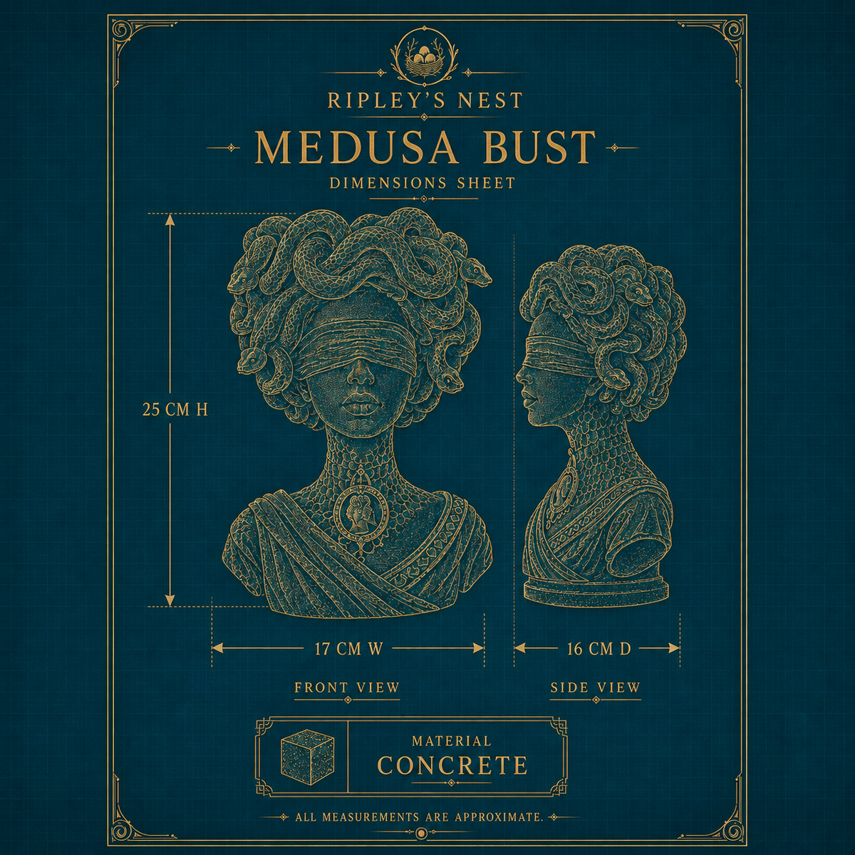 Dimensions sheet for Medusa Still Standing showing 25 cm high by 17 cm wide by 16 cm deep