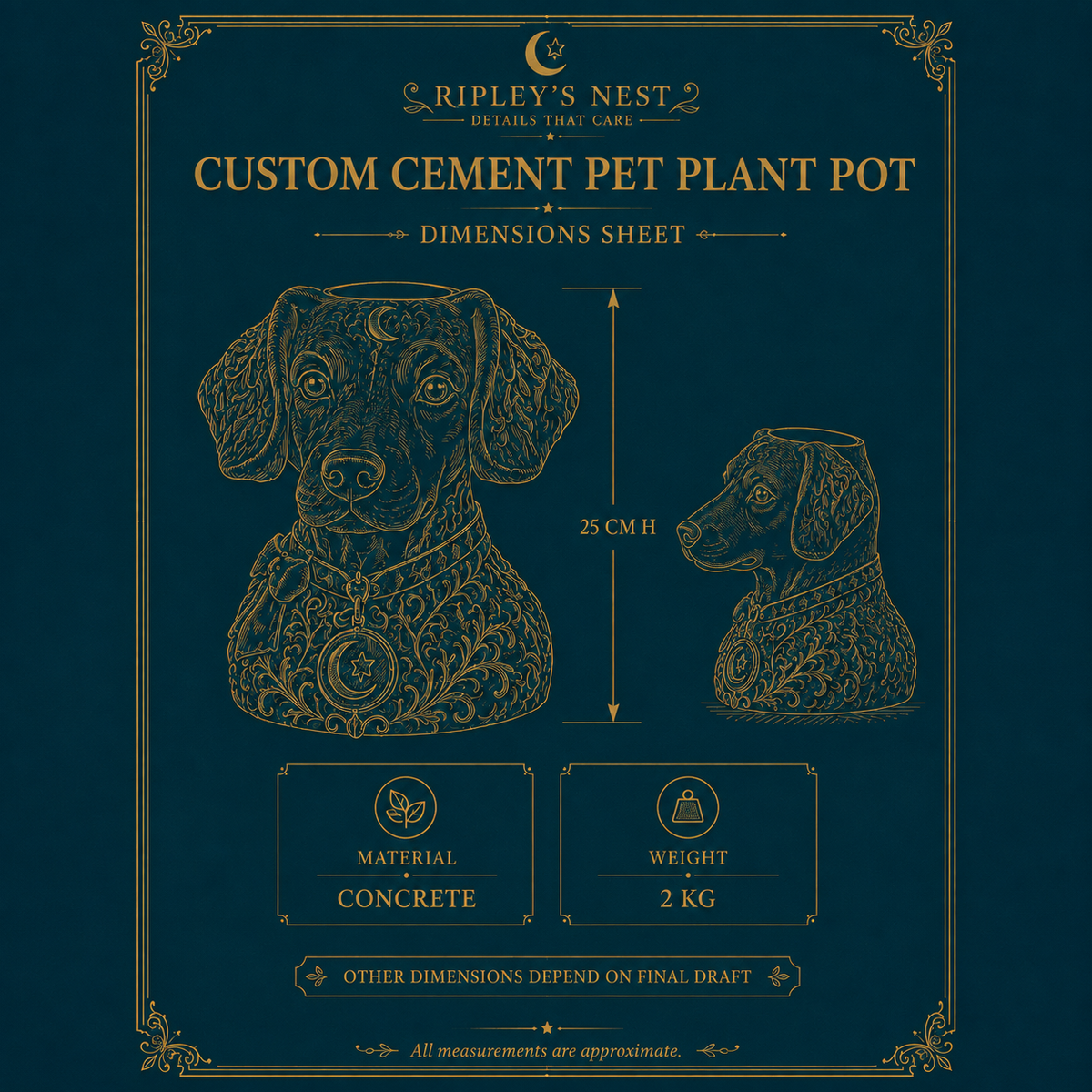 The Moon Familiar planter dimensions sheet showing 25 cm height and 2 kg weight