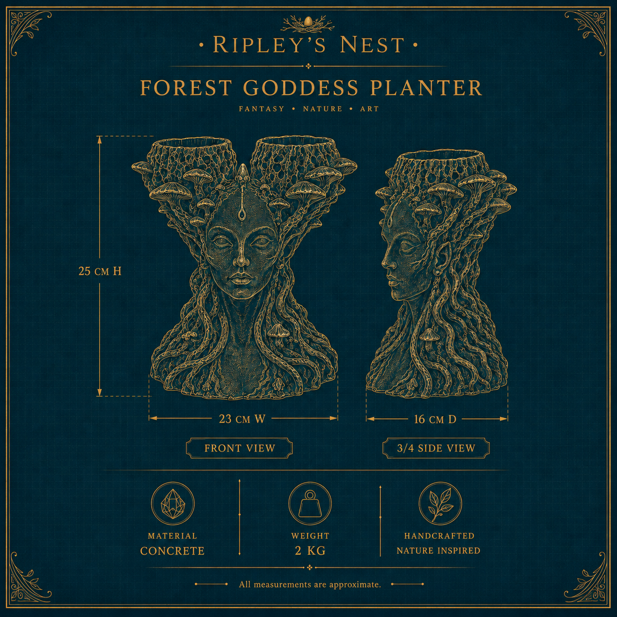 Mycelia planter dimensions card showing 25 cm height, 23 cm width, 16 cm depth and 2 kg weight
