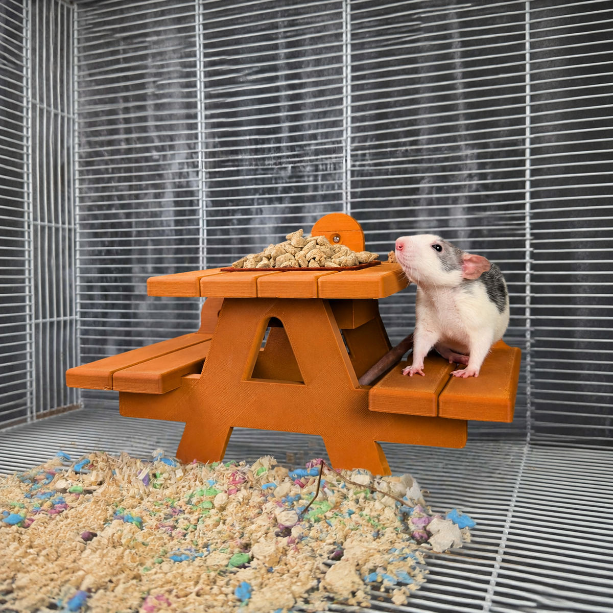 New rat parent starter kit product photo 7