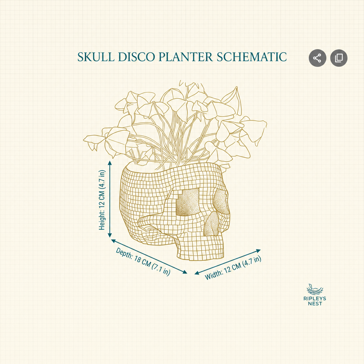 Disco skull planter dimension diagram showing 12 cm high, 12 cm wide and 18 cm deep