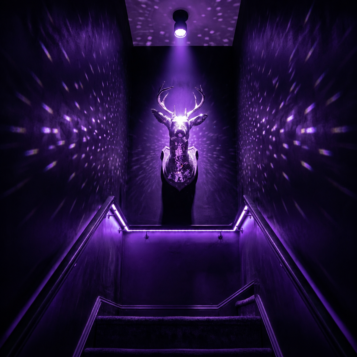 Stag Night at end of stairway with dramatic disco ball light reflections