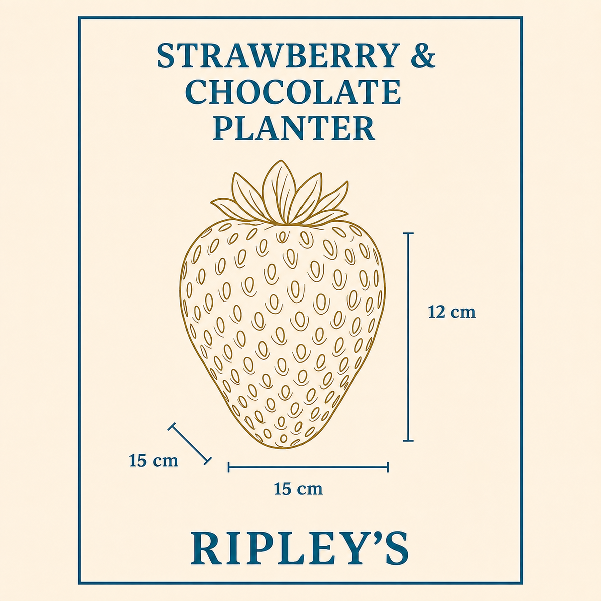 Legacy strawberry planter size card showing 12 cm high and 15 cm wide and deep
