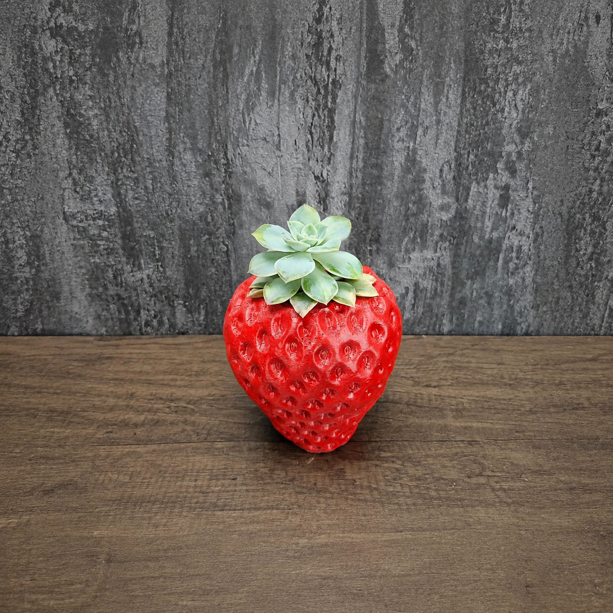 Red strawberry planter filled with a pale green succulent