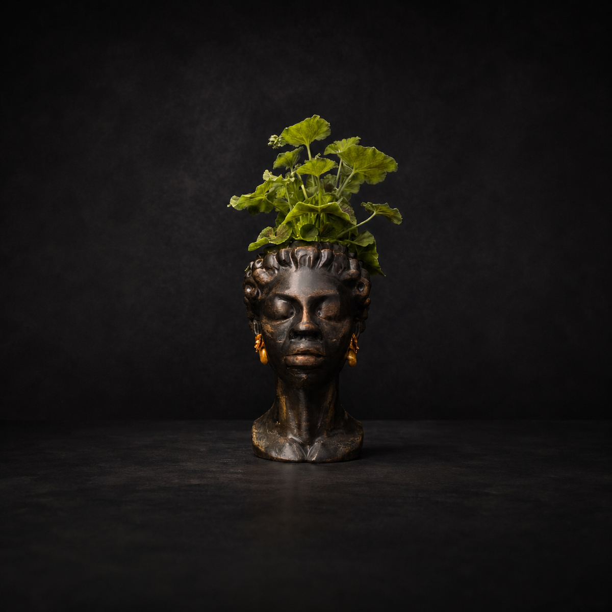The Florid Chiaroscuro | Cast Stone Bust Planter