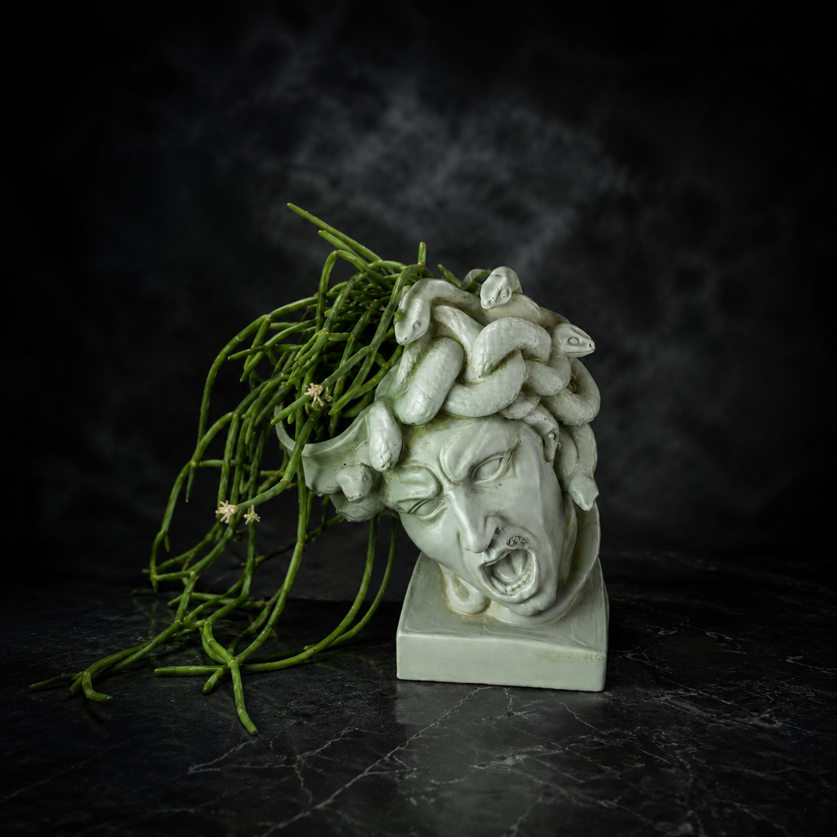 Front view of The Gorgon's Bloom Medusa planter with snake detail