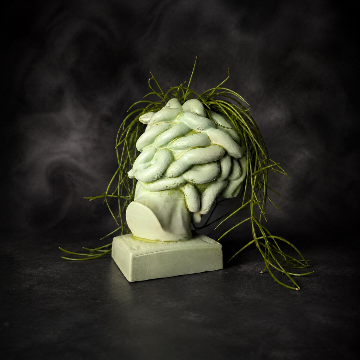 Rear view of Medusa cast stone planter with snake hair detail