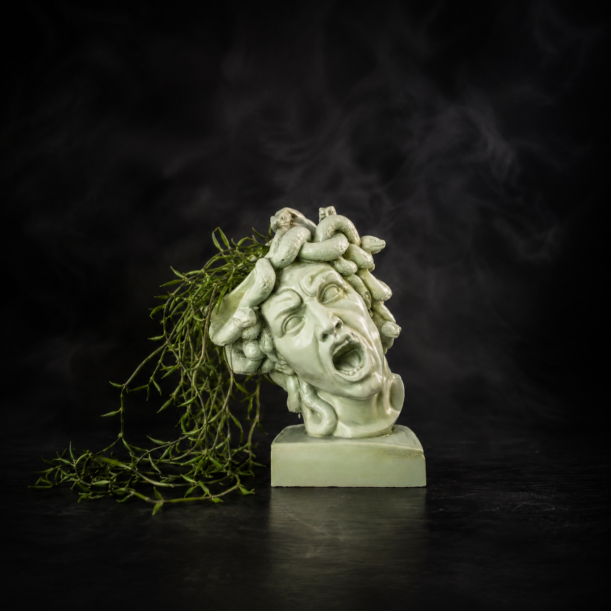 Medusa Head Planter – The Gorgon's Bloom