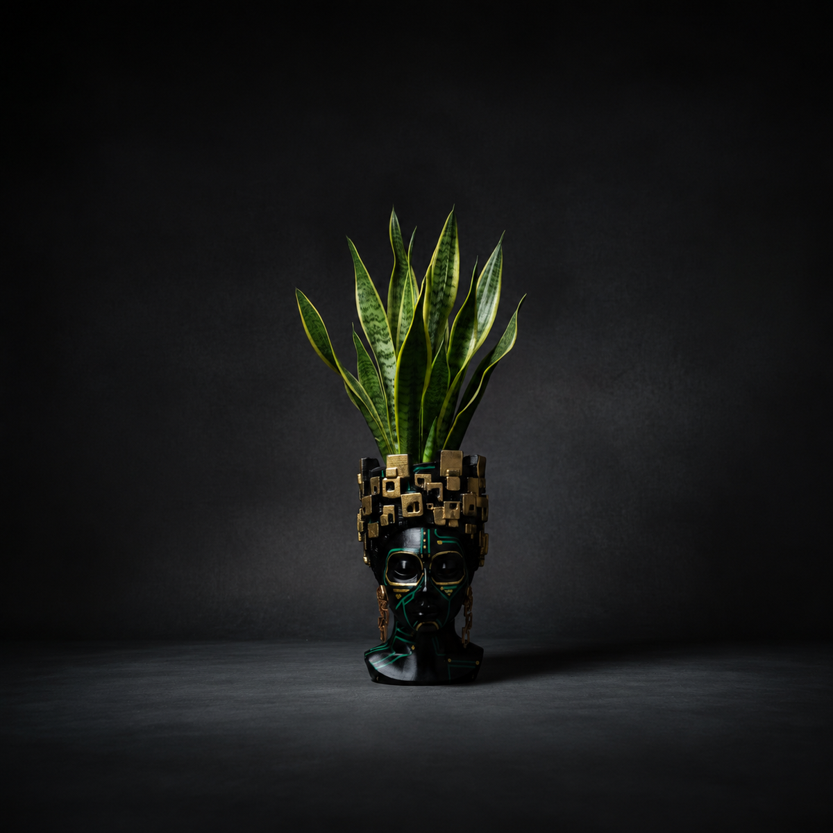 Front view of The Motherboard head planter holding a snake plant