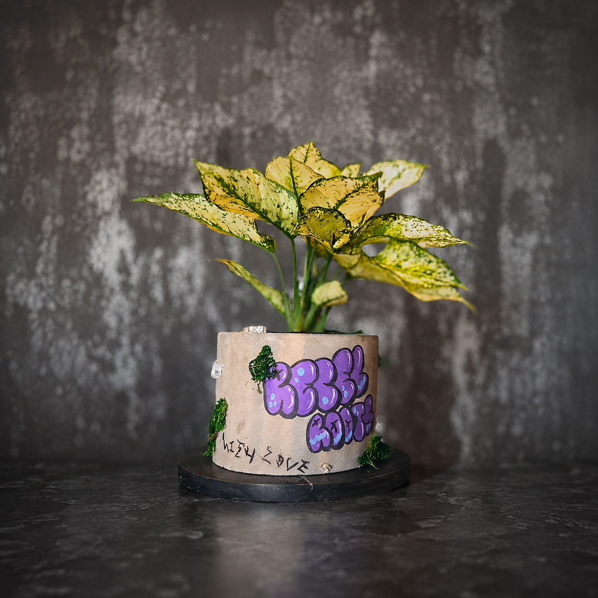 Planted personalised graffiti pot with purple lettering and green moss detail