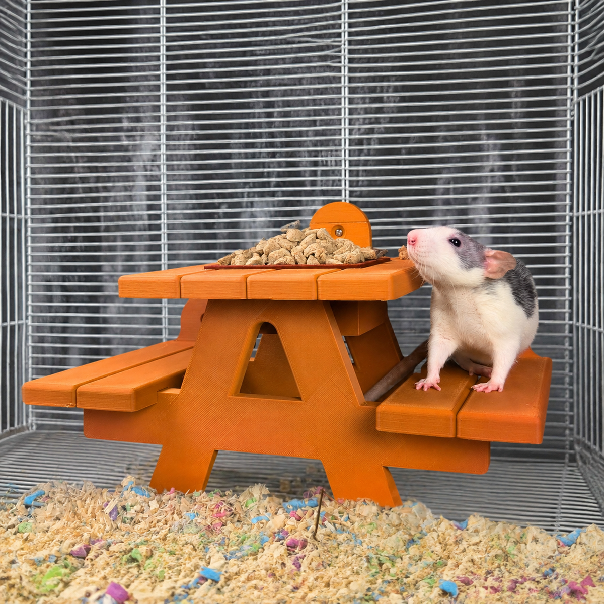Pet rat standing beside the orange picnic bench food bowl inside a cage