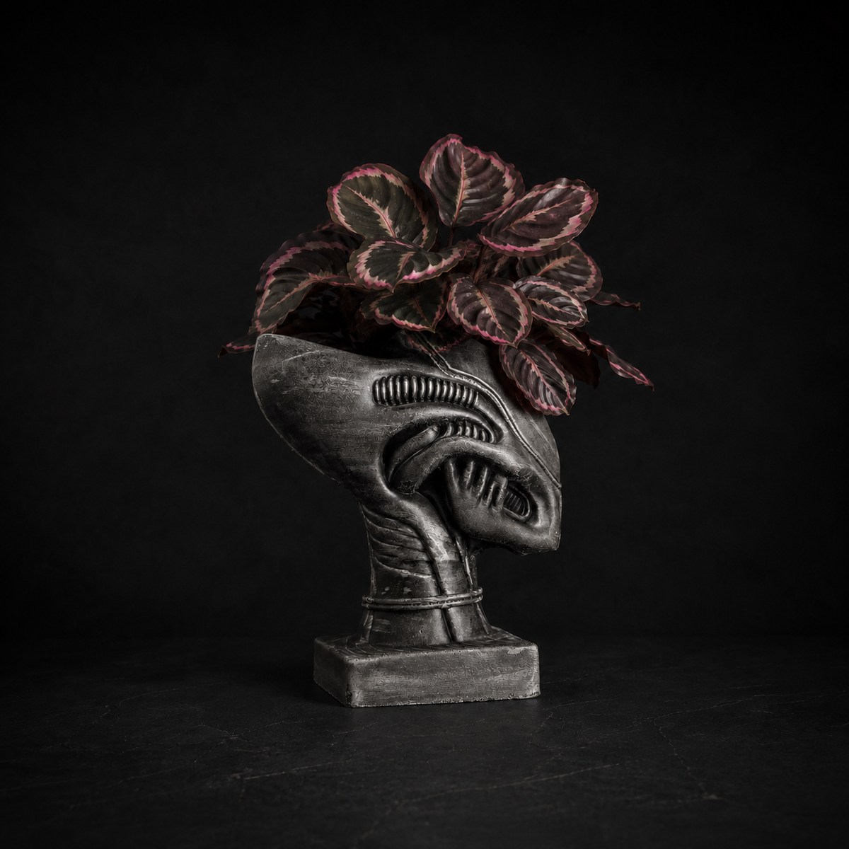 Xenophyte sculptural indoor plant pot with dark painted finish