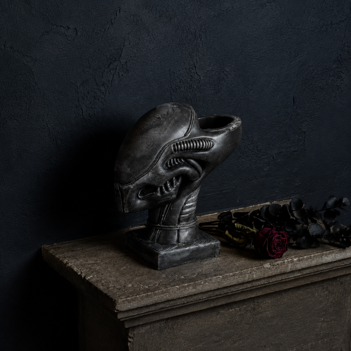 Xenophyte planter on shelf with dark wall and dried rose