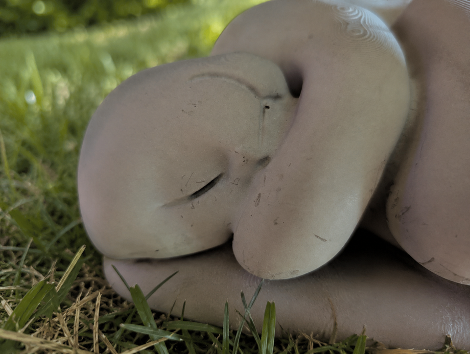 Sleeping Cat Garden Statue close-up of the peaceful sleeping face
