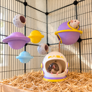 Space rat cage bundle with helmet and Saturn hides, three planet perches and two moon forage cups