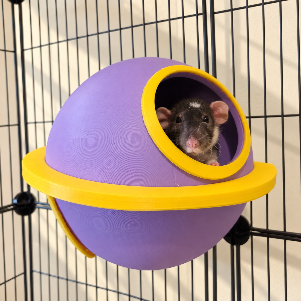 saturn in use — Space rat cage bundle