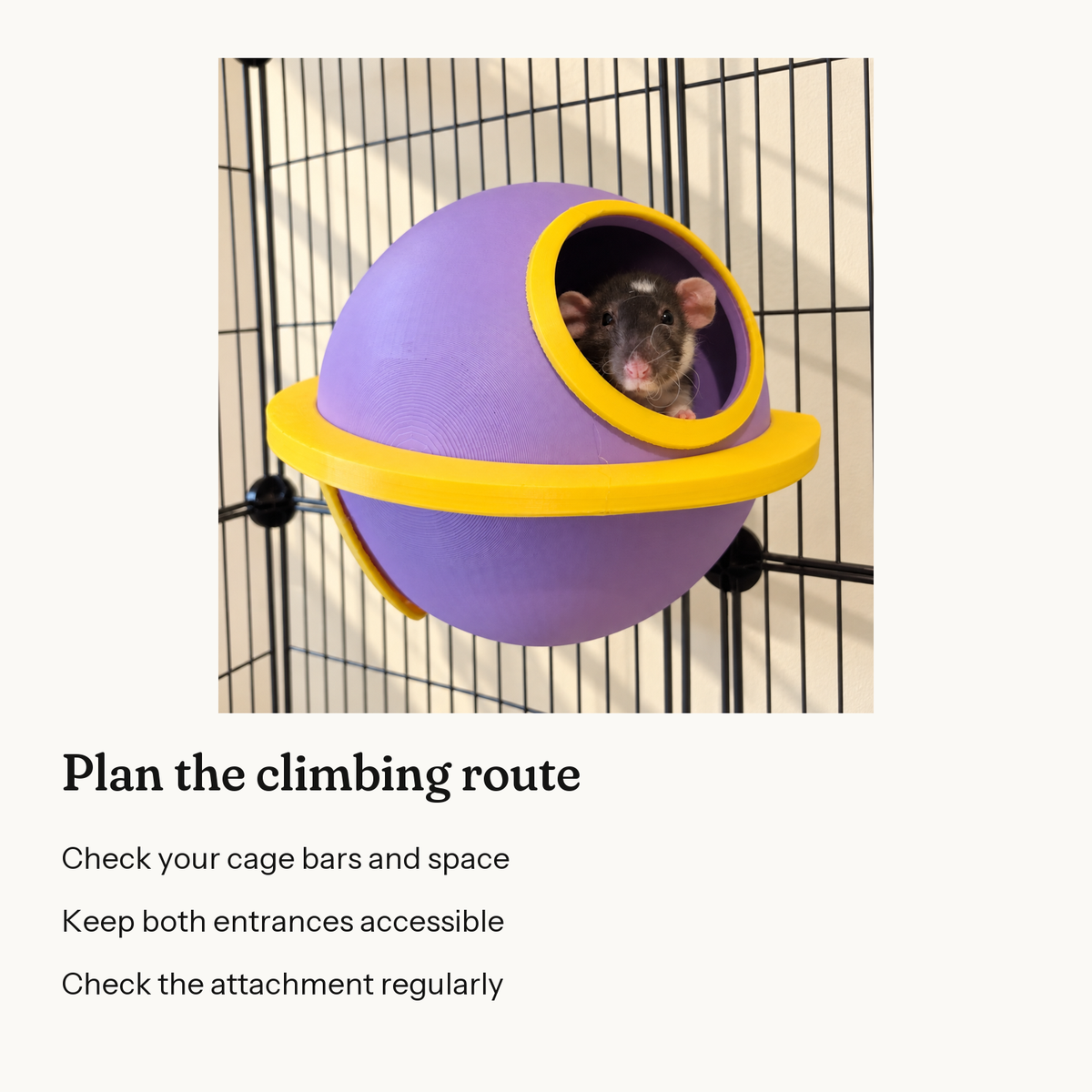 Information card: Plan the climbing route. Check your cage bars and space. Keep both entrances accessible. Check the attachment regularly.