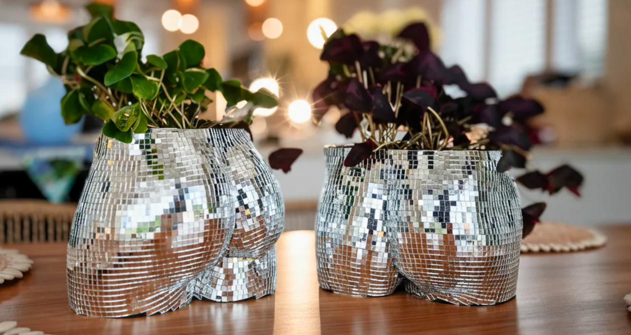 The Disco Duo Mirror Planters